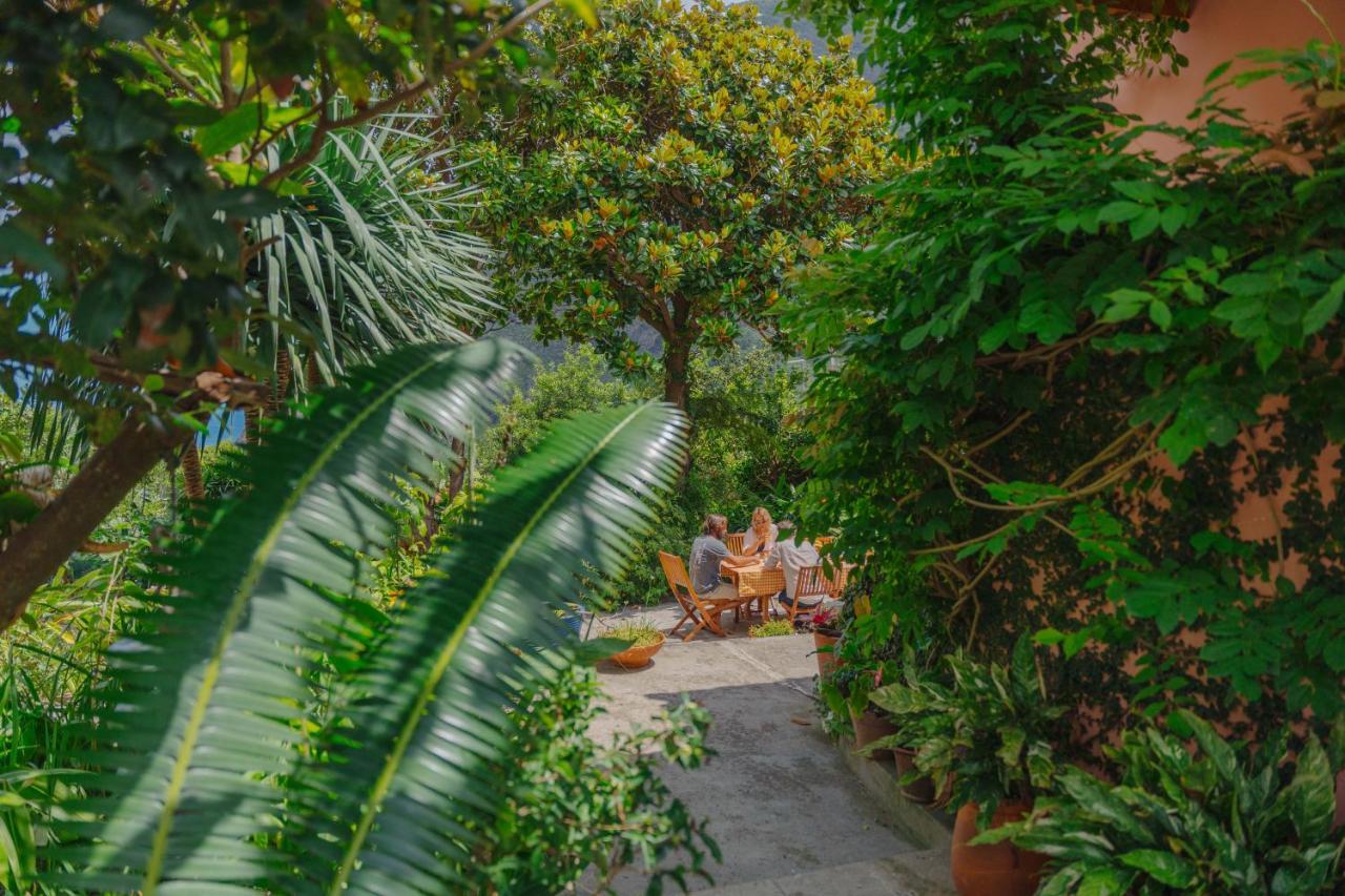 Madeira Surf Lodge São Vicente Exteriör bild
