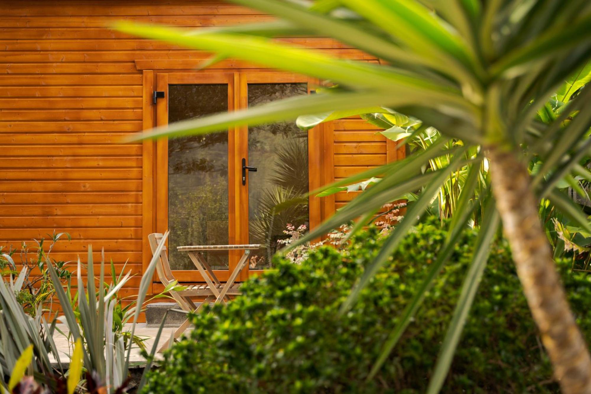 Madeira Surf Lodge São Vicente Exteriör bild